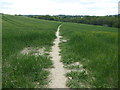 View from Willow Wood back to Ide Hill