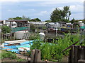 Allotments near Whitley Bay Ice Rink, Whitley Bay