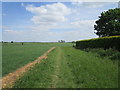 Footpath to Beckingham