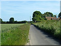 Lane from Ham towards Finglesham