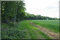 Bridleway by Rookwood Hall Wood