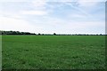 Lost Path on the Former Matching Airfield