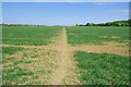 Bridleway near Park Woods