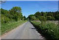 Edenhouse Road towards Ryton Bridge