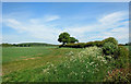 SP5718 : Farmland near Merton by Des Blenkinsopp