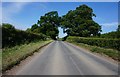 Habton Lane towards Newsham Lane