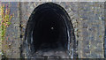 Newchurch No1 Tunnel