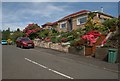 A colourful garden