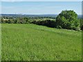 Field above Maywood Farm