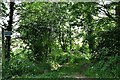 Syleham: Public footpath through a small wood