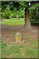 A millennium stone, East Court, East Grinstead