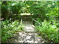 SU8887 : Path over Footbridge in Spade Oak Nature Reserve by Sean Davis