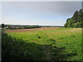 Footpath to Sedgebrook Road