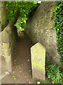 Northern end of the footpath past Woodlands Farm