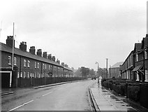 SJ6552 : Millstone Lane, Nantwich – 1963 by Alan Murray-Rust