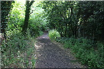 TQ1288 : Path in Yeading Walk, Harrow by David Howard