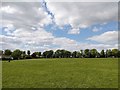 Coronation Playing Field, Hoole, Chester