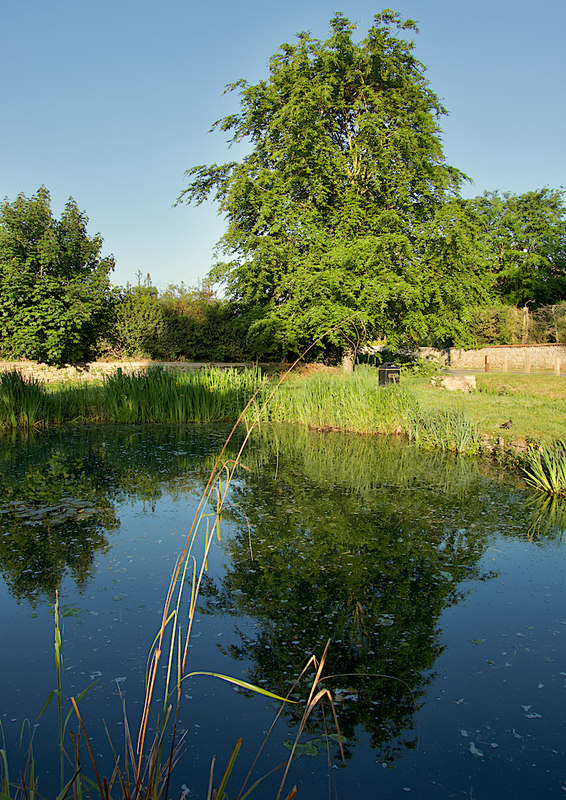 Brantingham pond © Paul Harrop cc-by-sa/2.0 :: Geograph Britain and Ireland