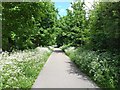 The Millennium Greenway at Kingsway