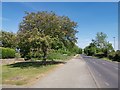 Braithwell Road, Ravenfield Common