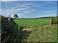 Field east of Egmanton Hill Farm