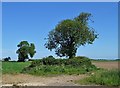 Countryside north of Westwood Farm