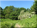 Path up on to Bleak Hill