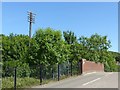 Telegraph pole alongside Lambley Lane