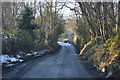 Dundale Rd, Great Sandhurst Wood