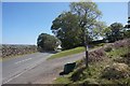 Fingerpost on Ainthorpe Lane near Castleton