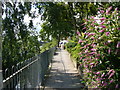 Thames Path at Staines-upon-Thames