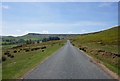 Castle Lane, Little Fryup Dale