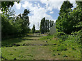 Horse paddock at Owlett Hall Farm