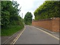 Wall, hedge and double yellow lines, Hollow Lane, Exeter