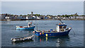 J5980 : Boats, Donaghadee Harbour by Rossographer