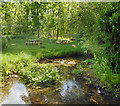 Picnic Place by the Gallos Brook