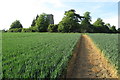 Footpath to St Dunstan