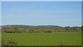 Farmland near Bosham