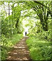 South Bucks Way towards Little Missenden