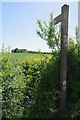 Footpath to Birds Green