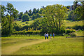 Bridport : Grassy Field