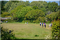 Bridport : Grassy Field