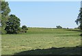 Grassland off Cowland Lane