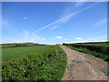 Aeroplane contrail over Auchenheath