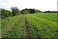 Bridleway going west