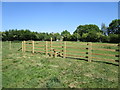 New fence and stile