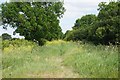 Footpath off Sorrell Lane