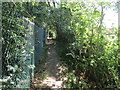 Footpath alongside Allington Gardens