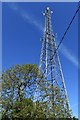 Metfield Common, Grove Farm: Mast at Catkin Farm