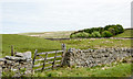 Dry stone wall with gate near to High Plains